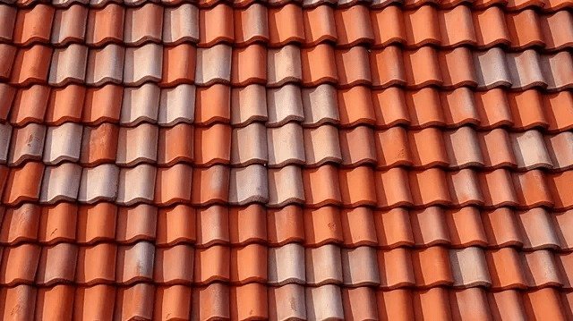 Clay roof tiles on a large public structure